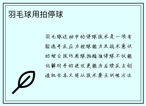 羽毛球用拍停球